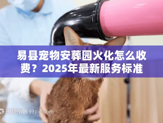 易县宠物安葬园火化怎么收费？2025年最新服务标准与避坑内幕
