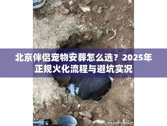北京伴侣宠物安葬怎么选？2025年正规火化流程与避坑实况