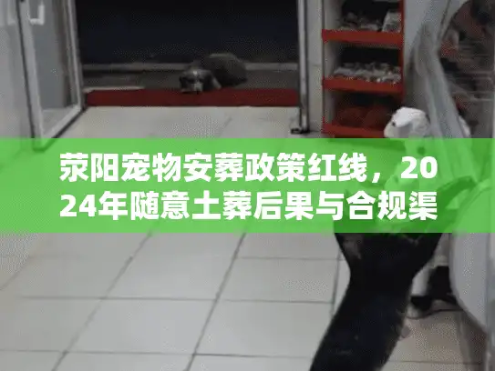 荥阳宠物安葬政策红线，2024年随意土葬后果与合规渠道