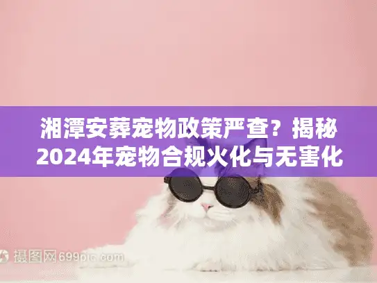 湘潭安葬宠物政策严查？揭秘2024年宠物合规火化与无害化处理