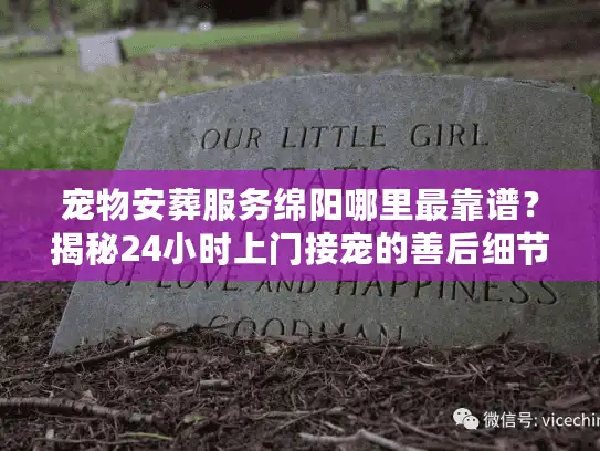 宠物安葬服务绵阳哪里最靠谱？揭秘24小时上门接宠的善后细节
