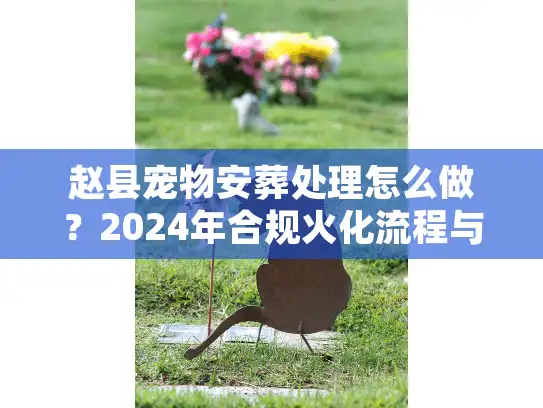 赵县宠物安葬处理怎么做？2024年合规火化流程与价格揭秘
