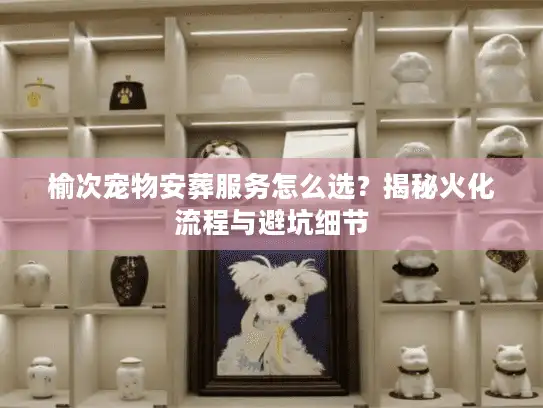 榆次宠物安葬服务怎么选？揭秘火化流程与避坑细节