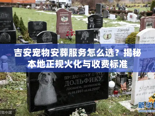吉安宠物安葬服务怎么选？揭秘本地正规火化与收费标准