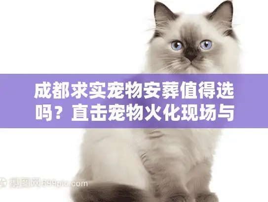 成都求实宠物安葬值得选吗？直击宠物火化现场与收费标准