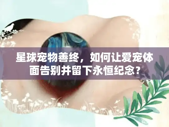 星球宠物善终，如何让爱宠体面告别并留下永恒纪念？