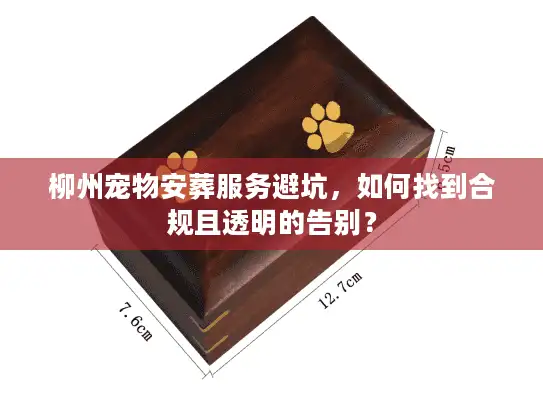 柳州宠物安葬服务避坑，如何找到合规且透明的告别？
