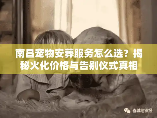 南昌宠物安葬服务怎么选？揭秘火化价格与告别仪式真相