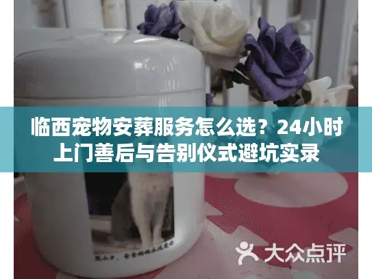 临西宠物安葬服务怎么选？24小时上门善后与告别仪式避坑实录