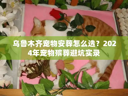 乌鲁木齐宠物安葬怎么选？2024年宠物殡葬避坑实录