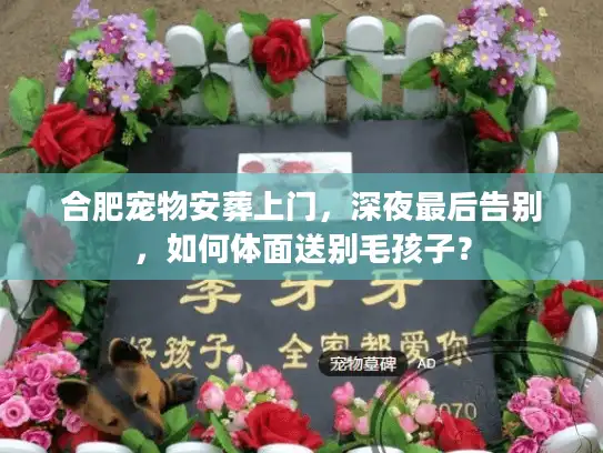 合肥宠物安葬上门，深夜最后告别，如何体面送别毛孩子？