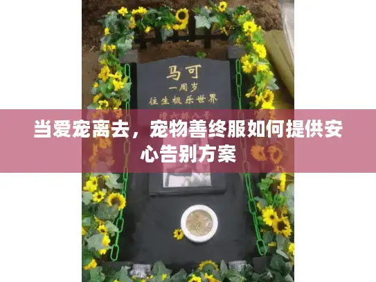 当爱宠离去，宠物善终服如何提供安心告别方案