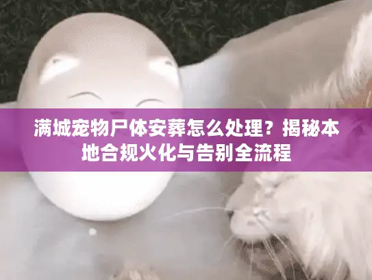 满城宠物尸体安葬怎么处理？揭秘本地合规火化与告别全流程