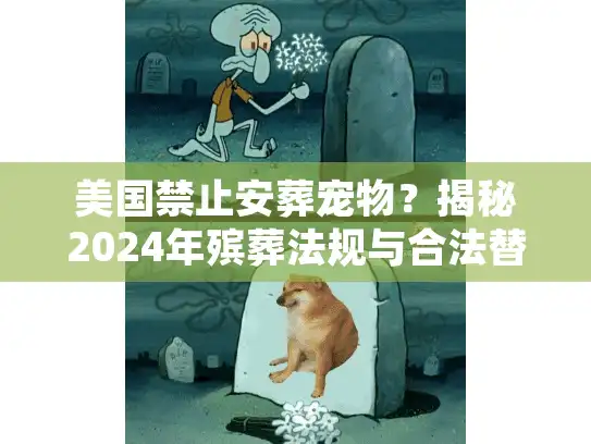 美国禁止安葬宠物？揭秘2024年殡葬法规与合法替代方案