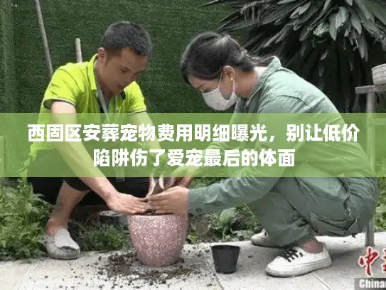 西固区安葬宠物费用明细曝光，别让低价陷阱伤了爱宠最后的体面