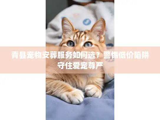 青县宠物安葬服务如何选？警惕低价陷阱守住爱宠尊严