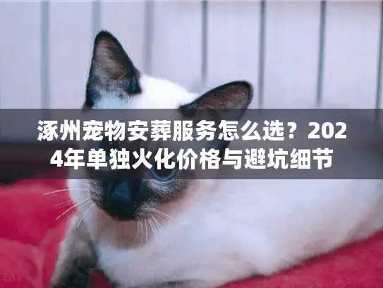 涿州宠物安葬服务怎么选？2024年单独火化价格与避坑细节