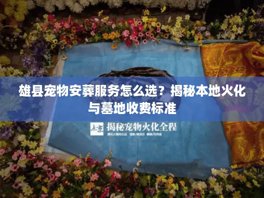 雄县宠物安葬服务怎么选？揭秘本地火化与墓地收费标准