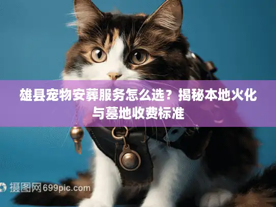 雄县宠物安葬服务怎么选？揭秘本地火化与墓地收费标准