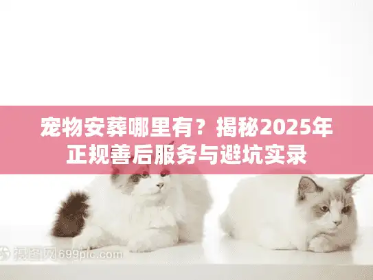 宠物安葬哪里有？揭秘2025年正规善后服务与避坑实录