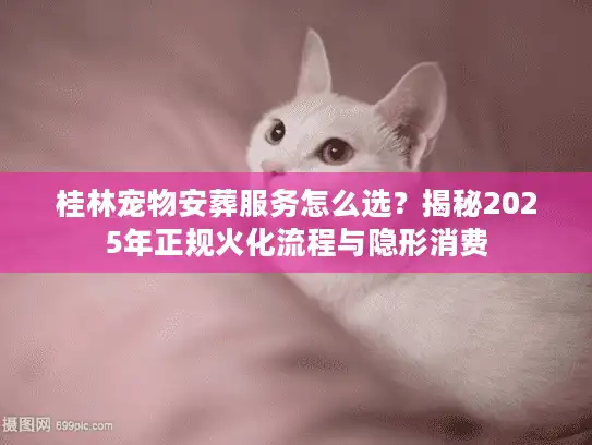 桂林宠物安葬服务怎么选？揭秘2025年正规火化流程与隐形消费