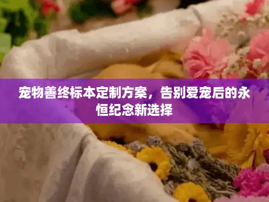 宠物善终标本定制方案，告别爱宠后的永恒纪念新选择