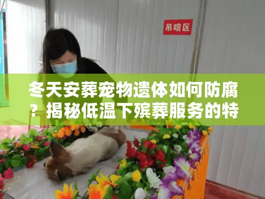 冬天安葬宠物遗体如何防腐？揭秘低温下殡葬服务的特殊门道