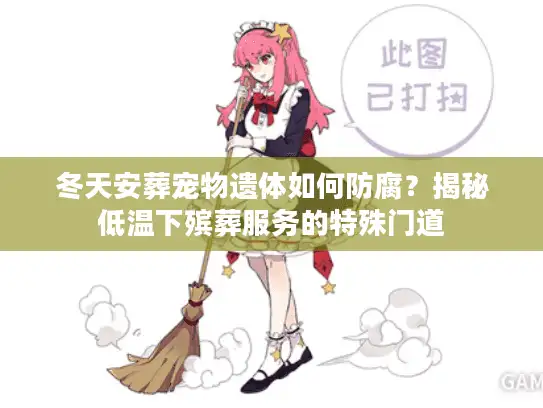 冬天安葬宠物遗体如何防腐？揭秘低温下殡葬服务的特殊门道
