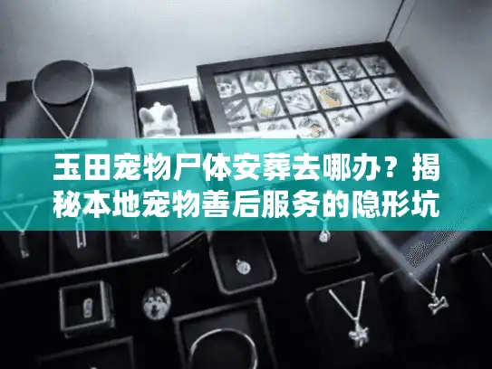 玉田宠物尸体安葬去哪办？揭秘本地宠物善后服务的隐形坑