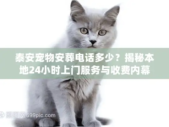 泰安宠物安葬电话多少？揭秘本地24小时上门服务与收费内幕