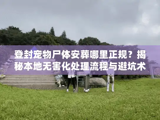 登封宠物尸体安葬哪里正规？揭秘本地无害化处理流程与避坑术