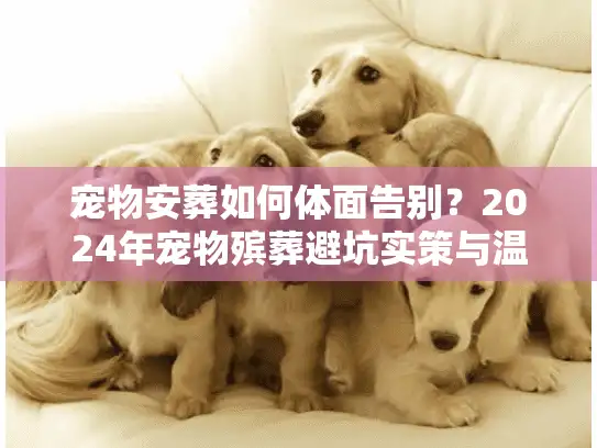 宠物安葬如何体面告别？2024年宠物殡葬避坑实策与温情方案