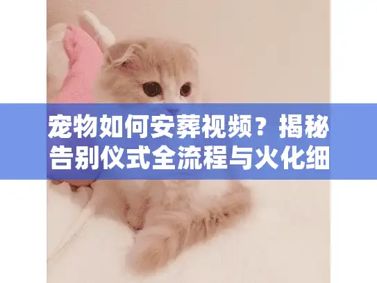 宠物如何安葬视频？揭秘告别仪式全流程与火化细节