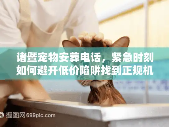 诸暨宠物安葬电话，紧急时刻如何避开低价陷阱找到正规机构？