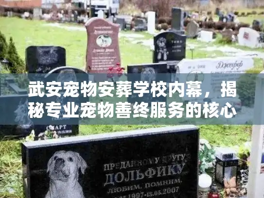 武安宠物安葬学校内幕，揭秘专业宠物善终服务的核心门槛