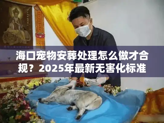 海口宠物安葬处理怎么做才合规？2025年最新无害化标准与流程