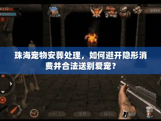 珠海宠物安葬处理，如何避开隐形消费并合法送别爱宠？