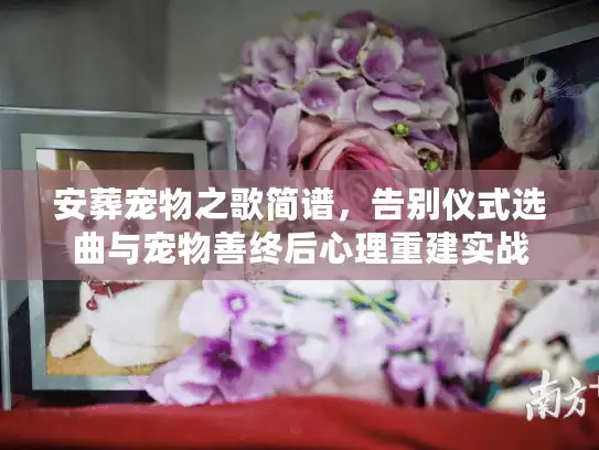 安葬宠物之歌简谱，告别仪式选曲与宠物善终后心理重建实战