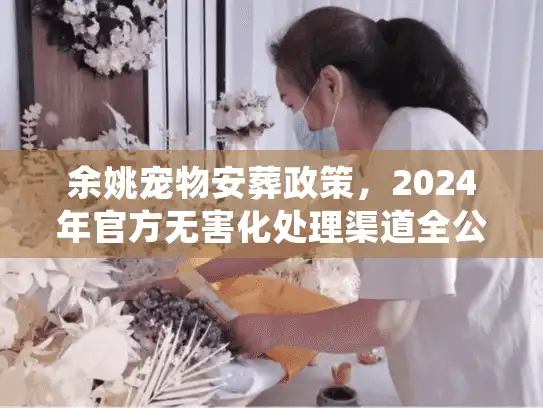 余姚宠物安葬政策，2024年官方无害化处理渠道全公开
