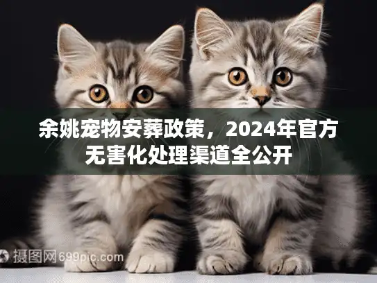 余姚宠物安葬政策，2024年官方无害化处理渠道全公开