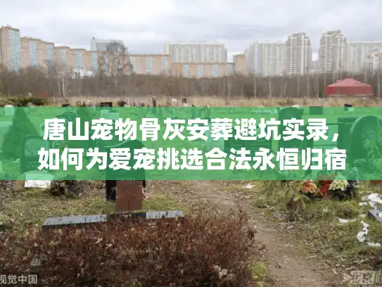 唐山宠物骨灰安葬避坑实录，如何为爱宠挑选合法永恒归宿？