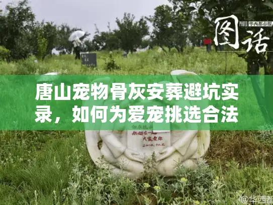 唐山宠物骨灰安葬避坑实录，如何为爱宠挑选合法永恒归宿？