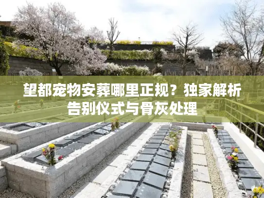 望都宠物安葬哪里正规？独家解析告别仪式与骨灰处理
