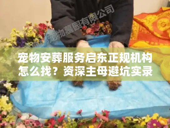宠物安葬服务启东正规机构怎么找？资深主母避坑实录