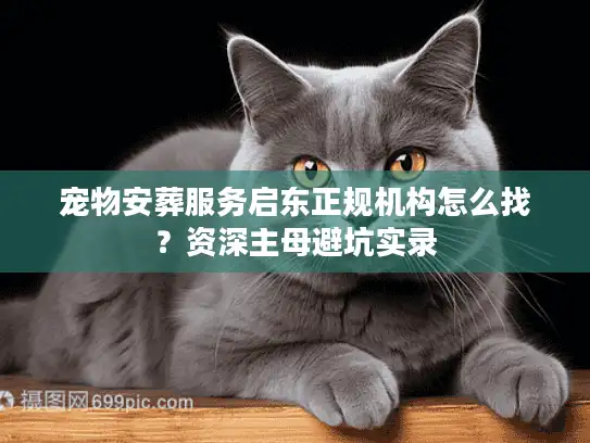 宠物安葬服务启东正规机构怎么找？资深主母避坑实录