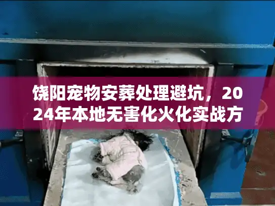 饶阳宠物安葬处理避坑，2024年本地无害化火化实战方案