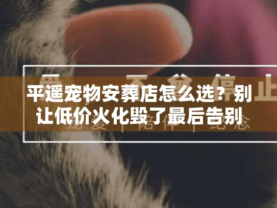 平遥宠物安葬店怎么选？别让低价火化毁了最后告别
