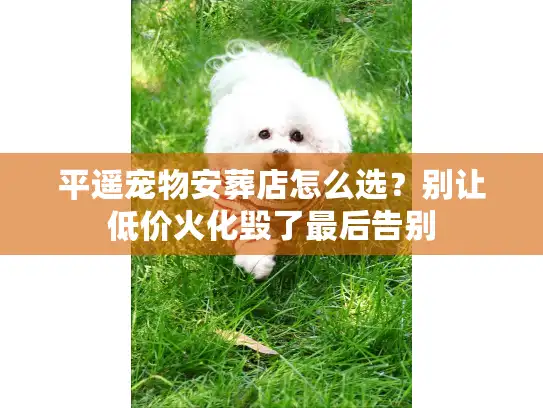 平遥宠物安葬店怎么选？别让低价火化毁了最后告别
