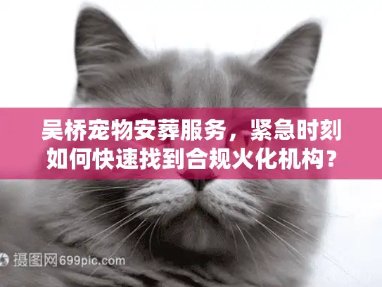吴桥宠物安葬服务，紧急时刻如何快速找到合规火化机构？