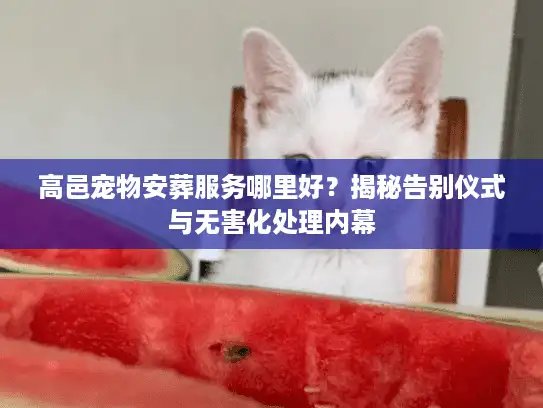 高邑宠物安葬服务哪里好？揭秘告别仪式与无害化处理内幕